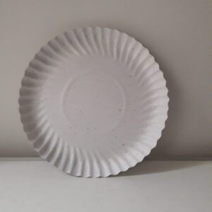 BANDEJA CARTON BCA 13 X10