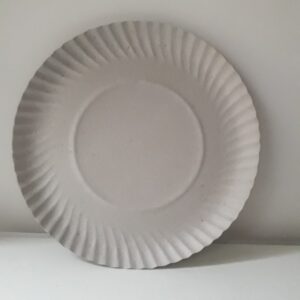BANDEJA CARTON BCA 14 X10